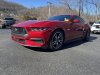 Pre-Owned 2024 Ford Mustang EcoBoost Premium
