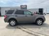 Pre-Owned 2011 Ford Escape XLT