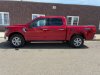New 2024 Ford F-150 XLT