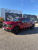 Pre-Owned 2025 Ford F-150 STX
