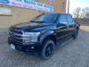 Pre-Owned 2019 Ford F-150 Platinum