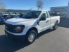 New 2024 Ford F-150 XL