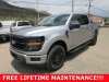 New 2025 Ford F-150 XLT