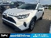 Pre-Owned 2021 Toyota RAV4 LE