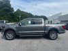 New 2024 Ford F-150 XLT