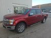 Pre-Owned 2019 Ford F-150 Lariat