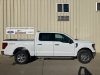 New 2025 Ford F-150 XLT