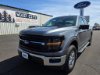 New 2025 Ford F-150 XLT