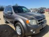 Pre-Owned 2010 Ford Escape XLT