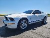 Pre-Owned 2009 Ford Shelby GT500 Base