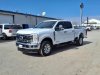Pre-Owned 2024 Ford F-250 Super Duty XLT