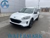 Pre-Owned 2022 Ford Escape SE