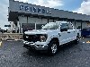 Pre-Owned 2023 Ford F-150 XL
