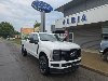 New 2026 Ford Super Duty F-250 SRW Platinum