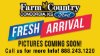 Pre-Owned 2019 Ford F-150 XLT