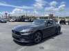 Pre-Owned 2024 Ford Mustang EcoBoost Premium