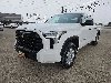 Pre-Owned 2022 Toyota Tundra SR5