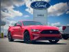Pre-Owned 2019 Ford Mustang EcoBoost
