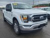 Pre-Owned 2023 Ford F-150 XLT