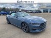 New 2025 Ford Mustang EcoBoost Premium