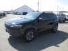 Pre-Owned 2019 Jeep Cherokee Trailhawk Elite