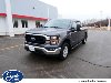 Pre-Owned 2023 Ford F-150 XLT
