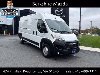 Pre-Owned 2026 Ram ProMaster 2500 Tradesman Window Van High Roof 159" WB