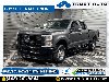 Pre-Owned 2025 Ford F-250 Super Duty XL