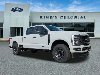 New 2026 Ford Super Duty F-250 SRW Platinum