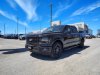 Pre-Owned 2024 Ford F-150 STX