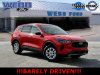 Pre-Owned 2024 Ford Escape Active